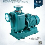 ZW自吸离心污水泵