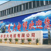 龙大电缆欢迎您